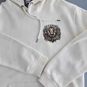 Hollister lion hoodie best sale